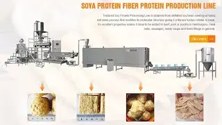 High Quality Vegetarian Meat Soya Protein Making Machine Processing Line