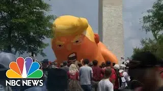 'Trump Baby' Blimp Deflated On National Mall Amid Stormy Weather | NBC News