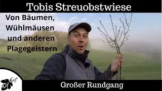 Die Streuobstwiese | Von Bäumen, Wühlmäusen und anderen Plagegeistern