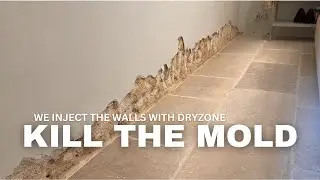 Remove mold FOR GOOD with DRYZONE #moldremoval