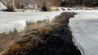 Melting Mountain Stream | Babbling Creek White Noise | 6+ Hours (No Music)