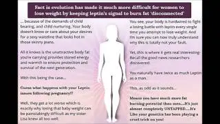 Venus Factor Weight Loss