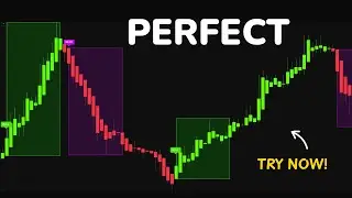 Stop Guessing! Use THIS NEW Indicator for Exact ENTRY & EXIT Signals!