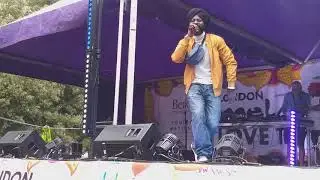 London Mela Southall Park London 2019 part 1