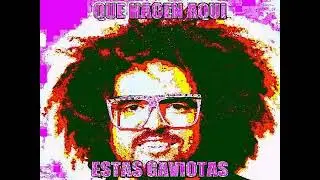 QUE HACEN AQUI ESTAS GAVIOTAS