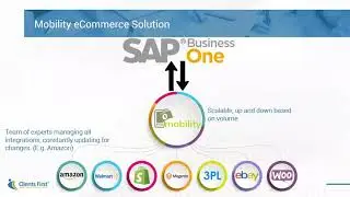 Omni Channel E-commerce With SAP Business One