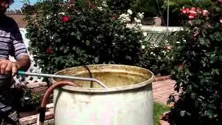 How to Liquid Feed a Large Rose Garden using a Submersible Pump