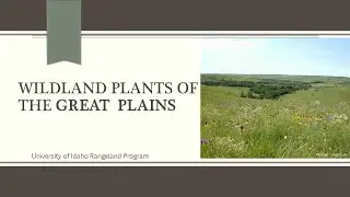 Great Plains Rangeland Overview