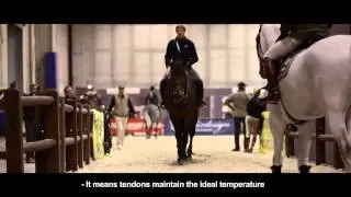 The secret of Carbon Gel Vento? Marcus Ehning reveals it