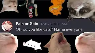 Oh so you like memes? NameEVERY Cat meme