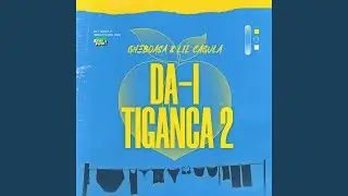 DĂ-I ȚIGANCA 2