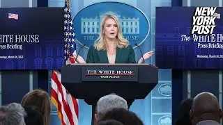 WH confirms no classified material, 'war plans' in leaked Signal group chat