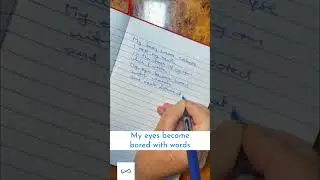 The Write Moment