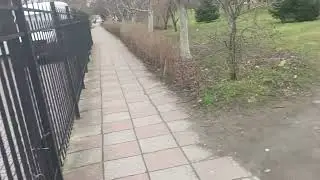 На работу 🛝😶&zwj;🌫️он Rev young goddess