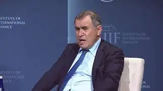 Nouriel Roubini Institute of International Finance Speech