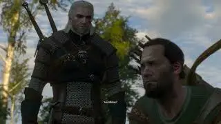 Сюжетный режим Ведьмака 3 &mdash; ЧАСТЬ 6 | #thewitcher3 #thewitcher3wildhunt