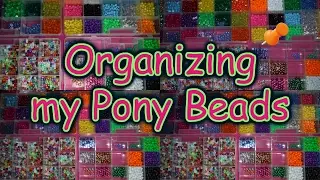 Organizing 1000 pony beads