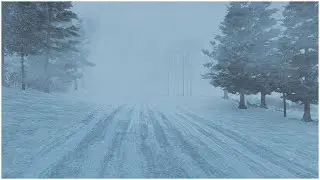 Epic Blizzard in the Mountains┇Snow Storm & Howling Wind Sounds for Sleeping┇Winter Storm Ambience