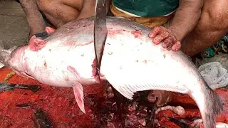 I never seen ll amazing big Pangash fish cutting live skills by expert fish cutter in Fishmarket 