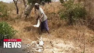 UN: 20 million face starvation as Horn of Africa drought worsens