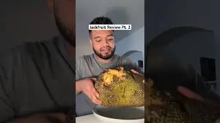 Jackfruit Review Pt. 2