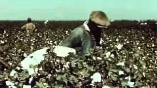 Agricultural Aviation