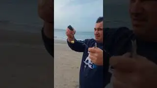 תפירת סרדין עם מזלג פיתיונות