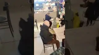 Centro commerciale dima shopping Bufalotta scala mobile bloccato ascensore animali fino a Carrefour 