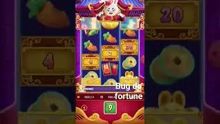 bug do fortune Coelho