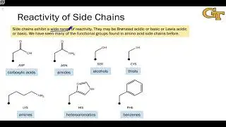 General Reactivity of Amino Acids
