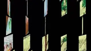 PC_100| Top 5 poster presentation ideas 2018 | Nature |