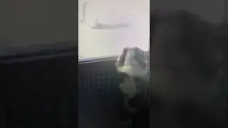 My cavalier King Charles spaniel  howling at home alone  separation anxiety on footage on camera