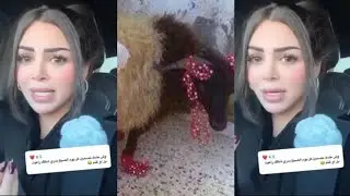 رهف القحطاني:يا ليتني راعية غنم، على الأقل فيها فلوس اشتري ذبيحتين في الشهرأدفع عليها حول3 الالف