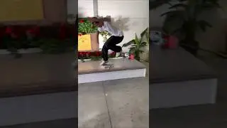 Gustavo Ribeiro 360 Flip Crook On A Mini Board