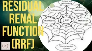Residual Renal Function, RRF, rrf importance, how to measure rrf, monitoring & preservation of rrf