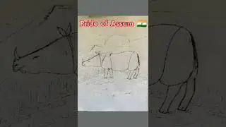 Rhino of Assam ❤️ | Art that shows power & pride 🇮🇳 #shots #drawing #rhino #assam#youtubeshorts #art