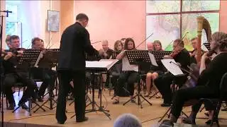 Dmytro Arefiev | VARIATIONS for chamber orchestra