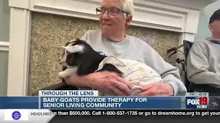 Baby goats provide therapy for senior living community