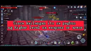 MIR4 : The DON'Ts for Beginners