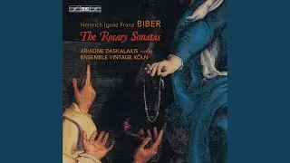 Sonata No. 4 in D Minor, C. 93, 'The Presentation of Jesus in the Temple': Ciacona