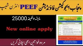 Punjab Education Foundation PEEF internship 2022 ll monthly stipend 25000 ll today job ll online app