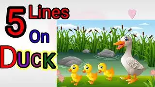 Duck essay lDuck essay in English l Duck essay for class 1l Essay on duck in English l Essay on duck