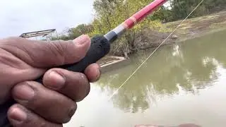 The Day After thanksgiving 2 Of 2 With The Jigging Spoon👍🏾🎣❗️ I NEED Kropy😡❗️NOT BlueCats😢❗️