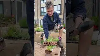 Great tip for planting with Garden on a Roll!