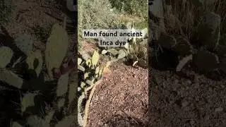 Forgotten natural dye, Inca red #outdoors #beautiful #hike #utah