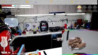 Aug 18  2025 Keto, Gluten free, carnivore bun, and we will make a sandwich with it