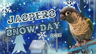 Jasper&rsquo;s Snow Day 2025