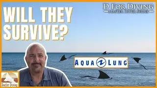 🔥 Aqualung&rsquo;s Collapse: Will HEAD&rsquo;s Takeover Sink Your Dive Gear?