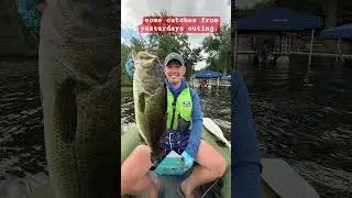 Couldn&rsquo;t find them deep, so we went dock fishing.