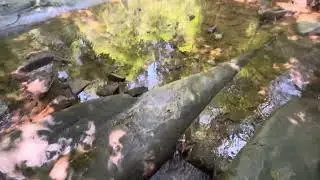 Everything clearly flowing in perfect unison